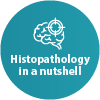 Histopathology icon green
